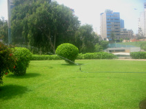 Miraflores, parque al lado del Malecn
                        Balta con aspersor, primer plano
