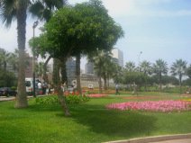 Miraflores, parque de los enamorados: Forma
                        de �rbol, campos de flores