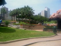Miraflores, parque de los enamorados: Fila
                        de palmeras