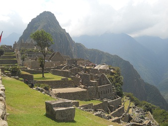El cerro mirador Huaynapicchu con rbol