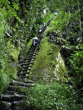 Escalera de
                  madera vertical para subir a la montaa Putucusi /
                  Putukusi