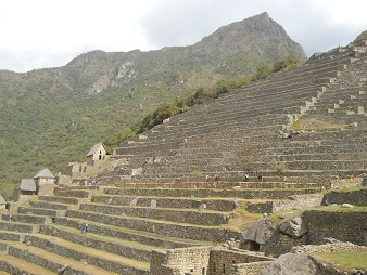 Machu Picchu, terrazas con montaas 01