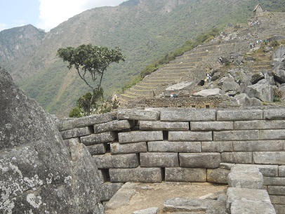 Machu Picchu, cuarto lateral: la vista sobre el
                    muro lateral con rbol y terrazas del sector
                    agrcola con la casita arriba