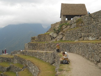 Machu Picchu, sector agrcola alto: la casa de
                    arriba con su camino y terrazas