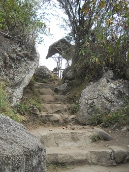 Machu Picchu, camino al puente Inca, escaleras
                    en un trozo