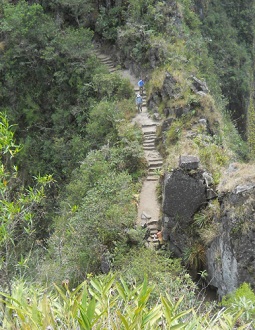Camino al mirador Huaynapicchu, camino con
                    escaleras