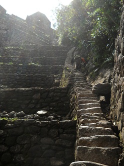 Bajada de Huaynapicchu, escalera irregular
                    escarpada con turista a 4 patas