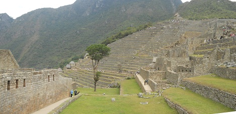 Machu Picchu: Sicht auf die Grosse Mauer mit Baum und dem Landwirtschaftssektor im Hintergrund mit dem Häuschen oben