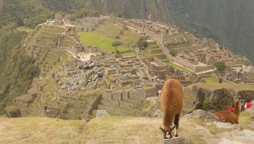 Vicunia mit Machu Picchu 07 (grosser
                    Steinbruch, Tempelanlagen, Sonnenpyramide, der
                    Weiler mit dem heiligen Stein, Arbeiterhäuschen,
                    Zentralplatz, Spiegeltempel oder Mörsertempel, die
                    grosse Mauer, das Adlergefängnis oder der
                    Adlertempel)