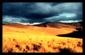 Valle del Mantaro: campo amarillos de cereales