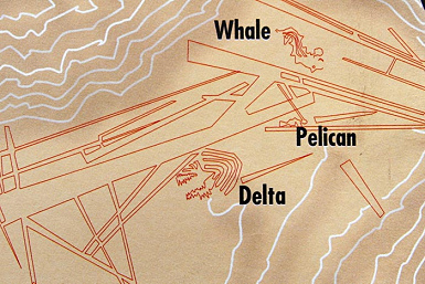 Linee di Ingenio, dettaglio della mappa
                        dell'istituto con la balena (Whale, ma in realt
                         un'orca), il Delta e il pellicano
                        (Pelican)(Valle di Ingenio).