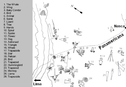 Map of
                        the main figures of Nasca with the Panamericana
                        parting the lizard (figure no.7)