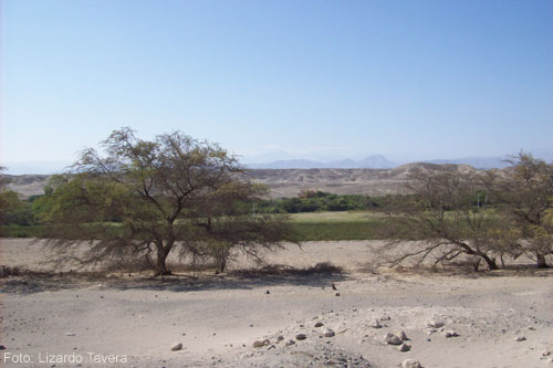 Die Aussicht von der Pyramidenzone
                auf das Tal des Nasca-Flusses: Zuerst war hier ein
                Panorama, und man konnte bis in die Ebene mit ihren
                Linien blicken. Aber der Fluss ist gef�hrlich: Seit den
                grossen �berschwemmungen ist die Sicht durch Ger�ll- und
                Schlammlawinen blockiert. Der Fluss hat sich zweimal ein
                neues Flussbett geschaffen, und die Reste der Ger�ll-
                und Schlammlawinen bleiben und blockieren das Panorama
                auf die Linien, und vielleicht sind in dieser H�gelkette
                noch mehr Artefakte und �berreste drin...