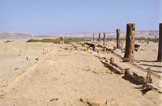 Columns' area
                ("estaquera") (03) of the temple of the
                stairs ("Templo del escalonado") 4 km from
                Cahuachi near Nasca, with a new part where the
                archeologists are going to work