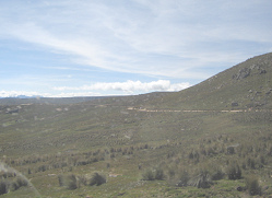 Altiplano andino Huamina con pantanal con
                        transcurso del camino (02)