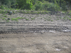 Der Strassenzustand des Feldwegs Der Strassenzustand des Feldwegs