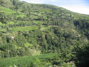 Felder, Weiden und Bäume, die
"Dreiheit" des natürlichen Anbaus Felder, Weiden und Bäume, die
"Dreiheit" des natürlichen Anbaus