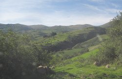 Felder und
Andenketten Felder und Andenketten