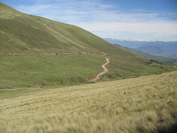 Serpentinen
am Grashang Serpentinen am Grashang