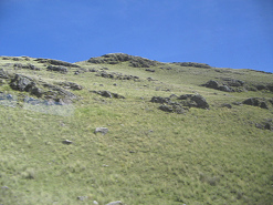 Grash�gel mit Steinen versetzt
                        (Steinwiese)