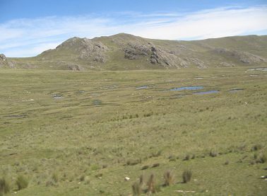 Moorlandschaft (01), 9:30 Uhr