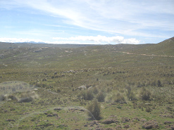 Moorlandschaft mit Strassenverlauf (01)