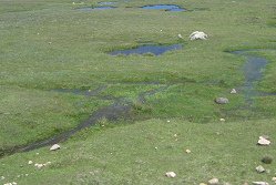 Wasserl�cher, Nahaufnahme