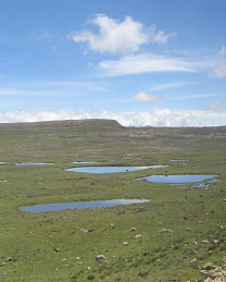 Wasserl�cher mit Wolkenbild