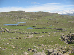 Teichlandschaft mit Steinmauer (01)