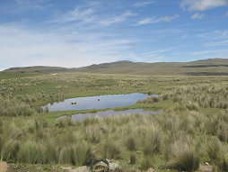 Teich und Wolkenbilder