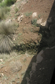 Improvisierte Wasserrinne, 10:50 Uhr