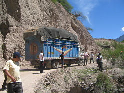 Cami�n con aver�a de conducci�n (02)