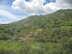 Pendiente en el valle Pampas