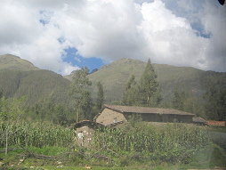 Granja, campo de ma�z (maizal), y monta�as