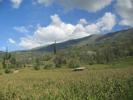 Valle ancho con campo de ma�z
                                  (maizal)sfeld