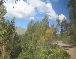 Fahrt durch den Laubwald