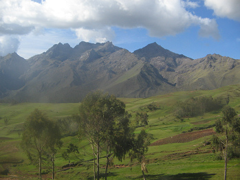 Bäume, Felder und
Grasberge Bäume, Felder und Grasberge