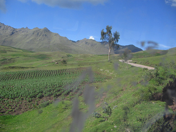 Kartoffelfeld, Baumgestalt,
Strassenverlauf und Grasberge Kartoffelfeld, Baumgestalt,
Strassenverlauf und Grasberge