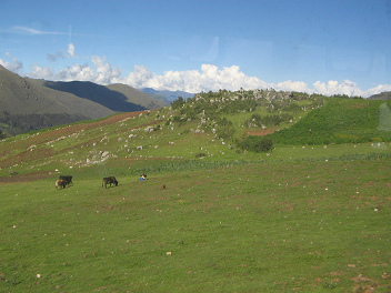 Weide und
Steinwiese über der Baumgrenze Weide und Steinwiese über
der Baumgrenze