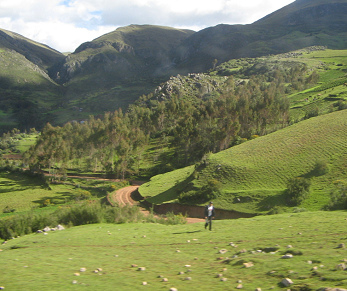 Bauer auf
einer Steinwiese und Sicht auf
den Hauptfeldweg, 16:00 Uhr Bauer auf einer Steinwiese
und Sicht auf den Hauptfeldweg,
16:00 Uhr