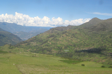 H�gel mit Feldern und B�umen,
                                    Nahaufnahme