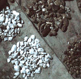 Weisse und
schwarze Chuños Weisse und
schwarze Chuños