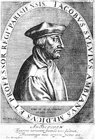 Jacques Dubois
                                        (Jacobus Sylvius), Profil [19];
