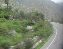 Repecho cubierto de vegetaci�n