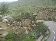 Serpentina con repecho vertical no
                        cultivado (03)