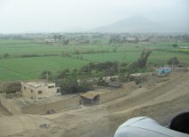 Panamericana, bew�sserte
                        Landwirtschaftsebene von Chancay und Huaral
                        (02)