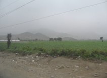 Panamericana, Feld und W�stenberge in der
                        Ebene von Chancay und Huaral (01)