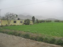 Panamericana, Feld und W�stenberge in der
                        Ebene von Chancay und Huaral (02)