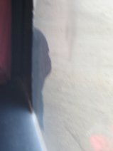 Busfahrer vor R�tselreifen (13)