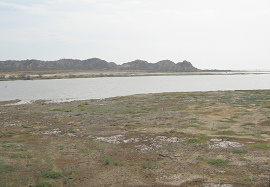 Bucht zwischen Tumbes und Zorritos